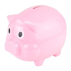 ALCANCÍA PUERQUITO | INF 040