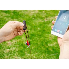 Audífonos Bluetooth Setting | TE0423