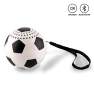 Speaker Bluetooth Soccer Ball | TE-654