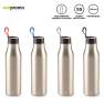 BOTILITO METALICO PLUGSY 750ml | MU-413