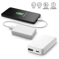 PILA RECARGABLE FRANZ 2000mAh | TE-740