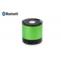 Altavoz Bluetooth Punk | TE0539